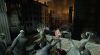 Left 4 Dead - 13